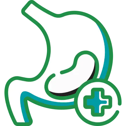 icon of stomach